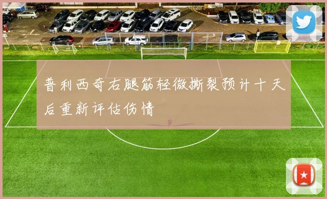 普利西奇右腿筋轻微撕裂预计十天后重新评估伤情