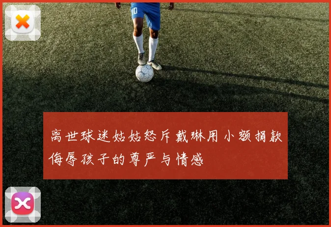 离世球迷姑姑怒斥戴琳用小额捐款侮辱孩子的尊严与情感