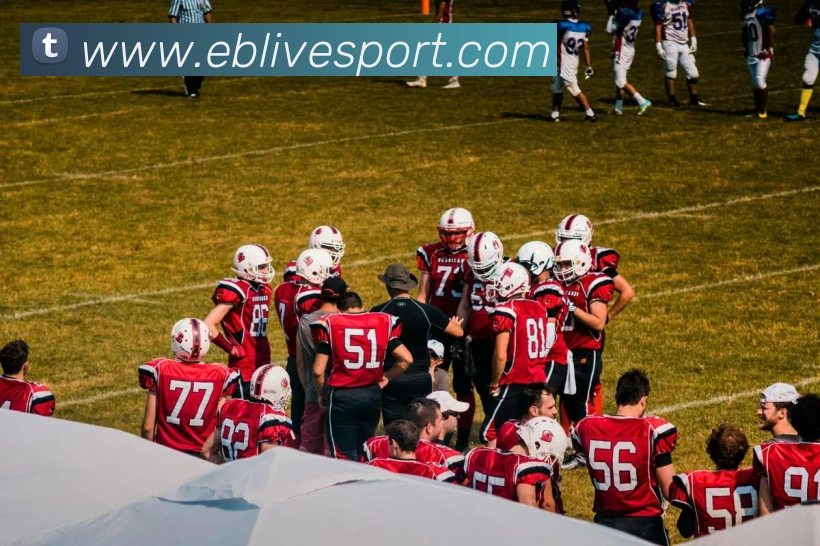 App Interface Preview